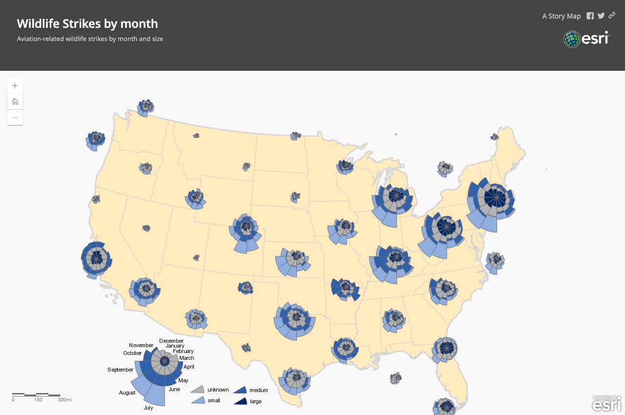 Wildlife Strikes by Month